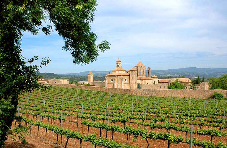 Rượu vang Tây Ban Nha vùng Catalunya