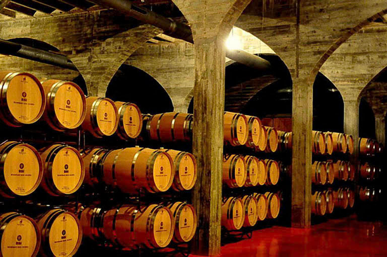 Rượu vang Tây Ban Nha vùng Jumilla và Yecla