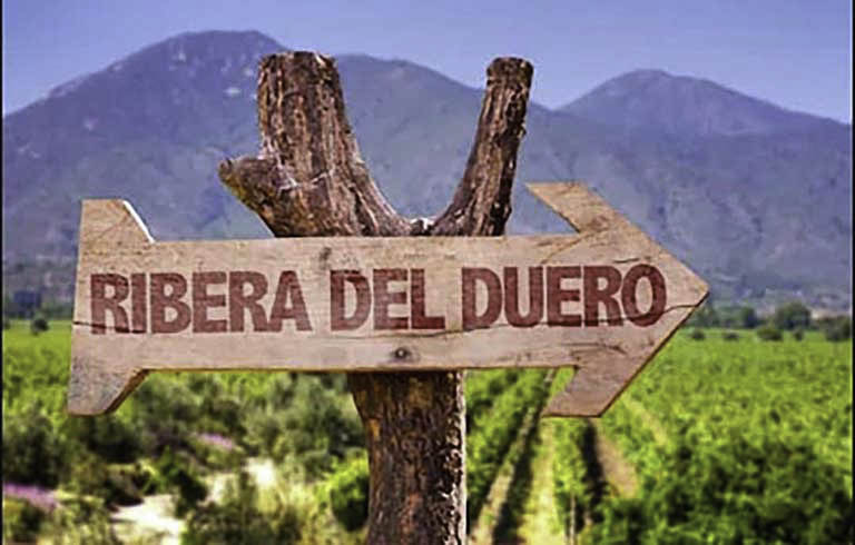 Rượu vang Tây Ban Nha vùng Ribera Del Duero