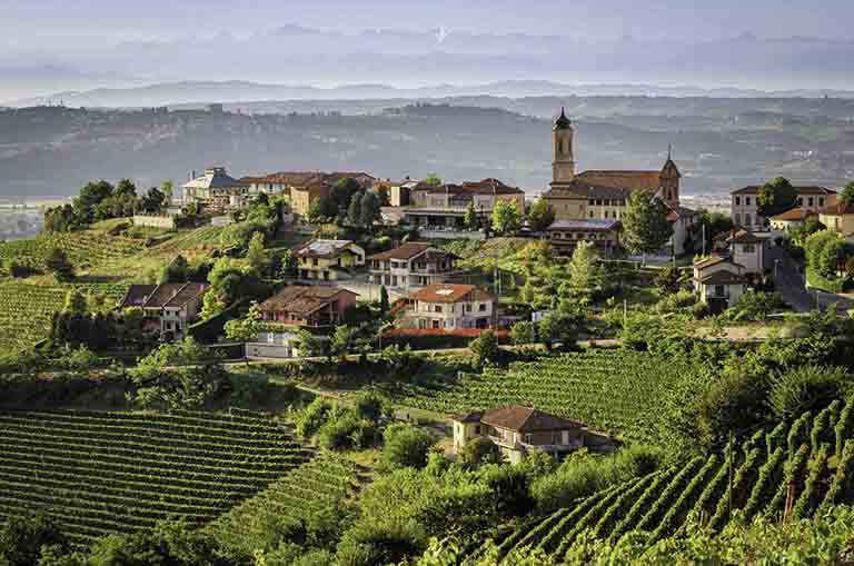 Rượu vang Ý vùng Piemonte