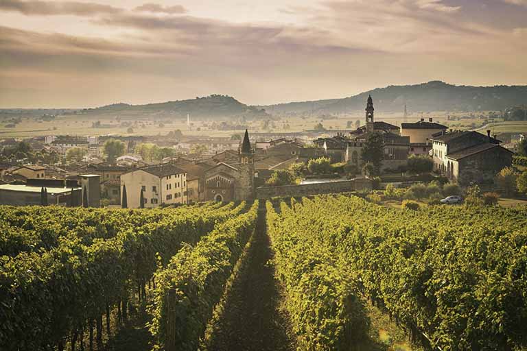Rượu vang Ý vùng Veneto