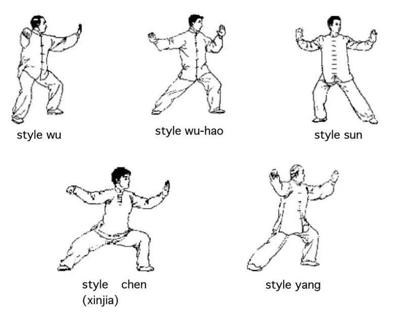 Các Phong Cách Thái Cực Quyền Phổ Biến