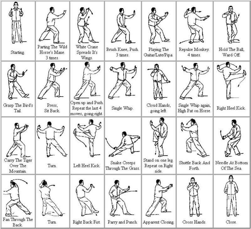 Hướng Dẫn Tập Thái Cực Quyền Cho Người Mới Bắt Đầu