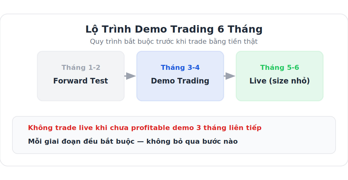Lộ trình demo trading 6 tháng