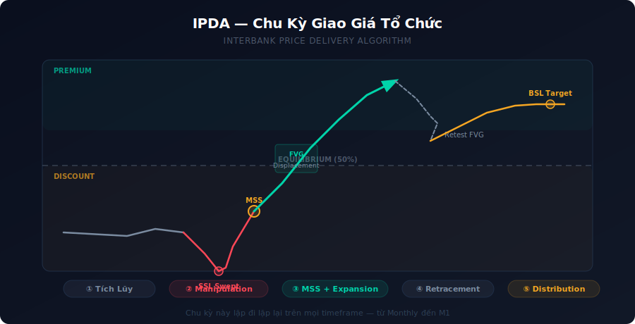 IPDA Chu Kỳ Giao Giá Tổ Chức — 5 pha: Tích lũy, Stop Hunt, MSS, Expansion, Distribution