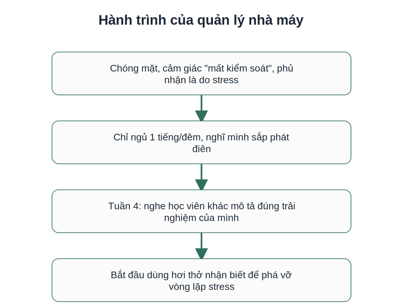 Hành trình chuyển hóa của quản lý nhà máy qua MBSR