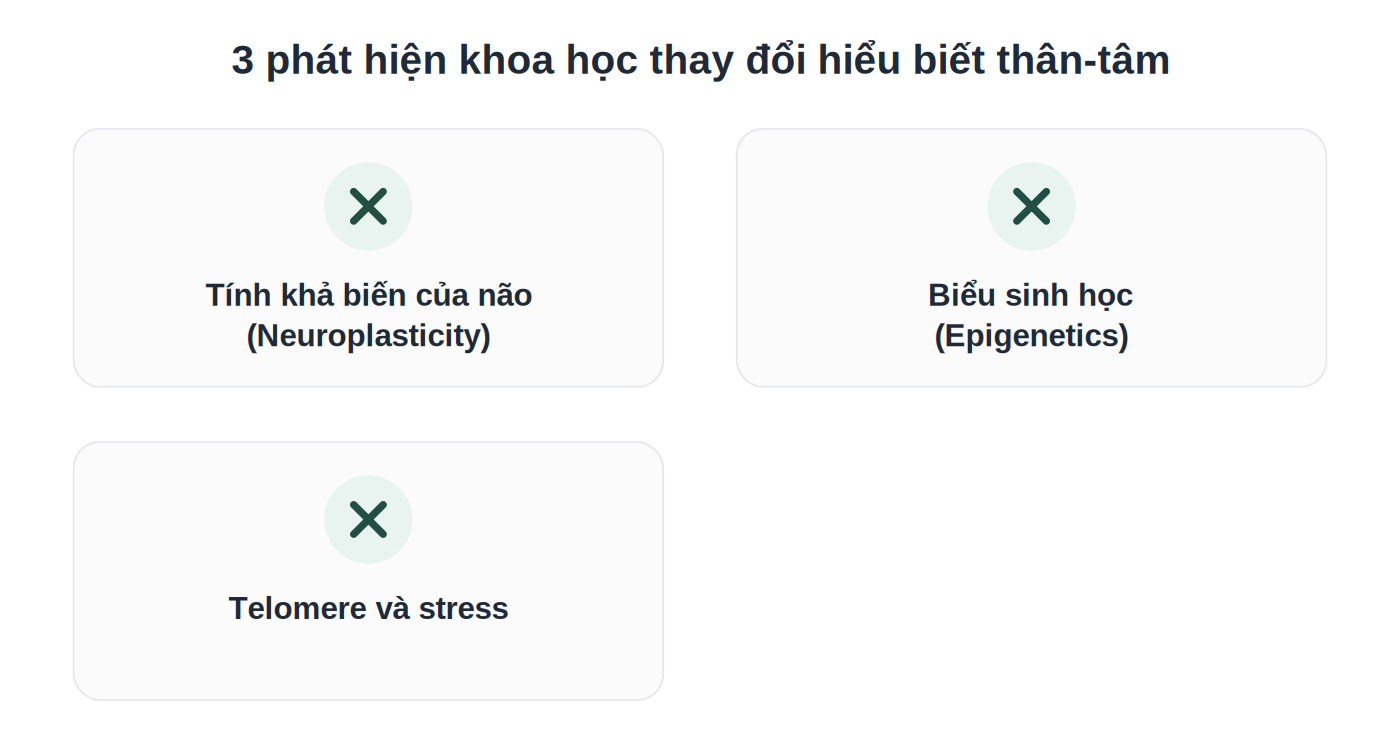 3 phát hiện khoa học lớn về mối liên hệ thân-tâm