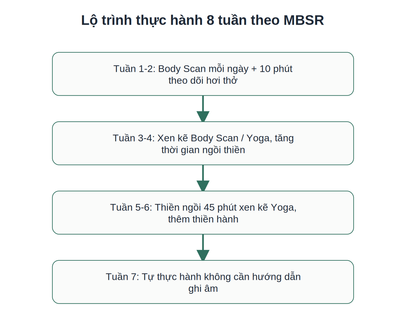 Lộ trình thực hành 8 tuần theo chương trình MBSR gốc