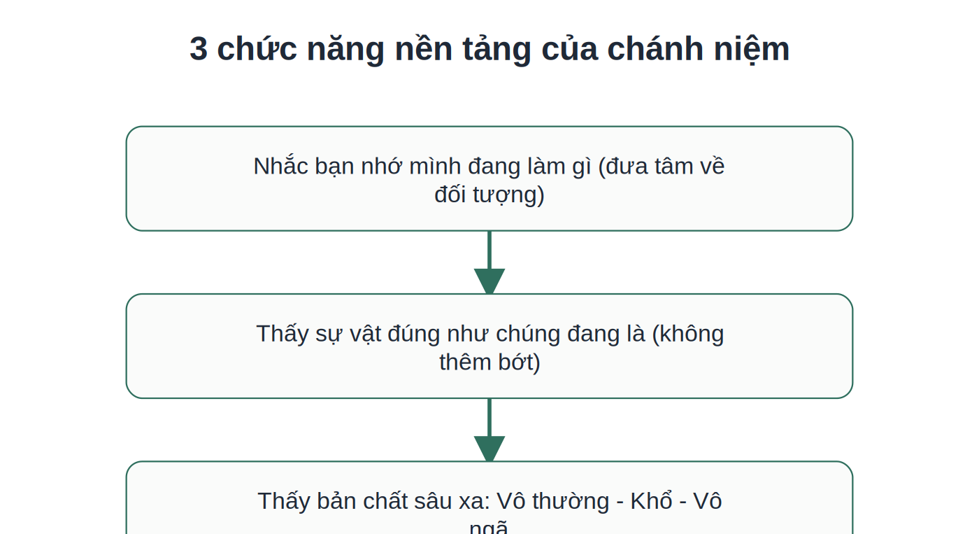 3 chức năng nền tảng của chánh niệm