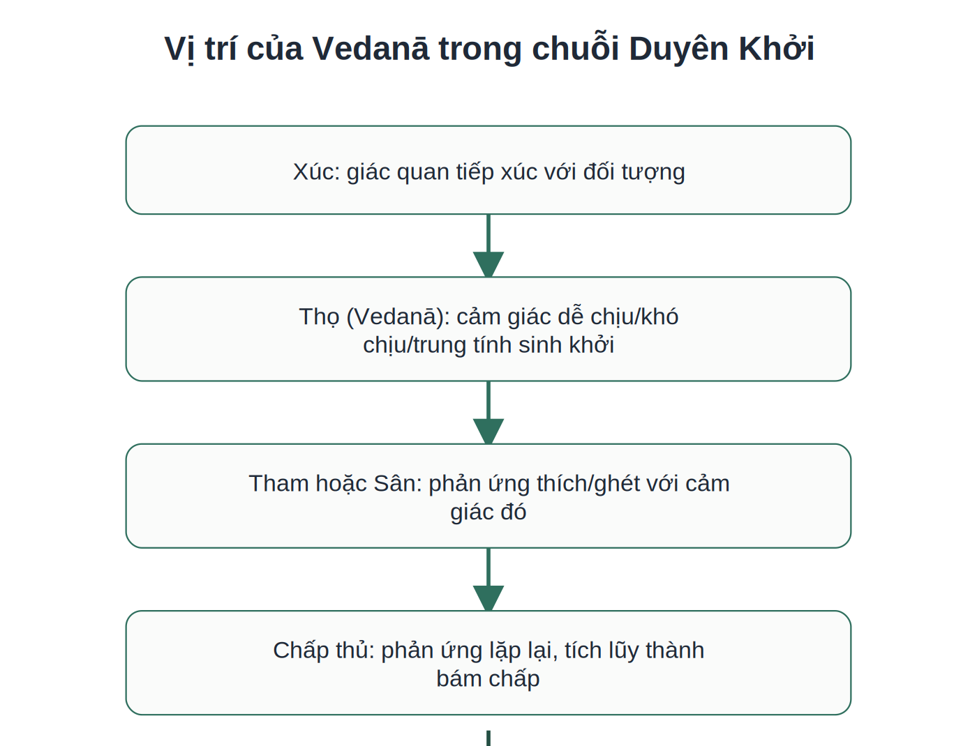 Vị trí của Vedanā (cảm giác) trong chuỗi Duyên Khởi dẫn tới khổ đau