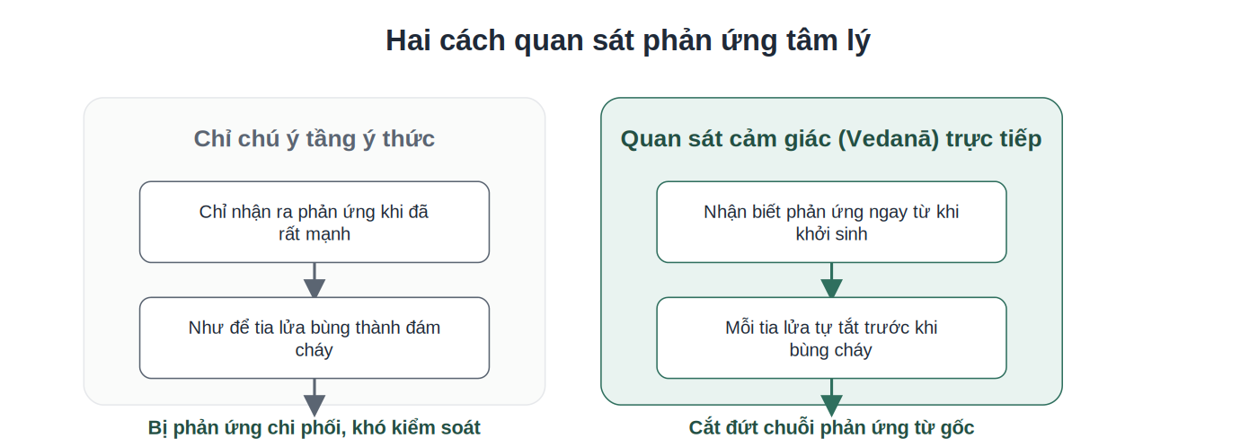 So sánh 2 cách quan sát phản ứng tâm lý qua Vedanā