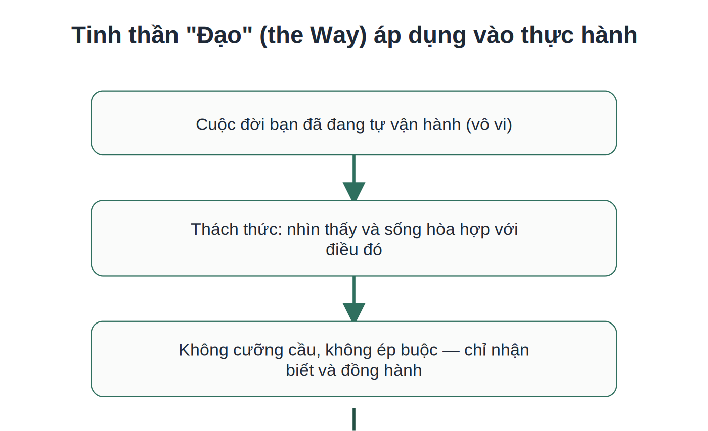 Tinh thần Đạo (the Way) áp dụng vào thực hành chánh niệm