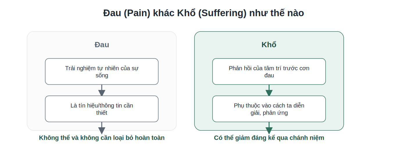 So sánh Đau và Khổ - hai trải nghiệm khác nhau