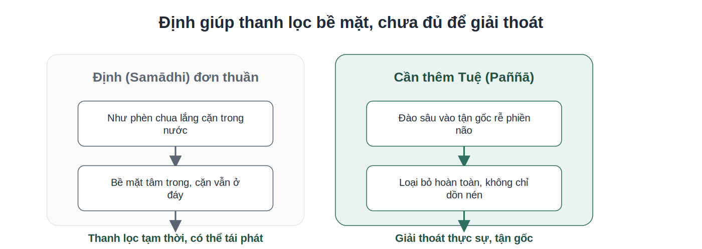 So sánh Định đơn thuần và khi kết hợp với Tuệ
