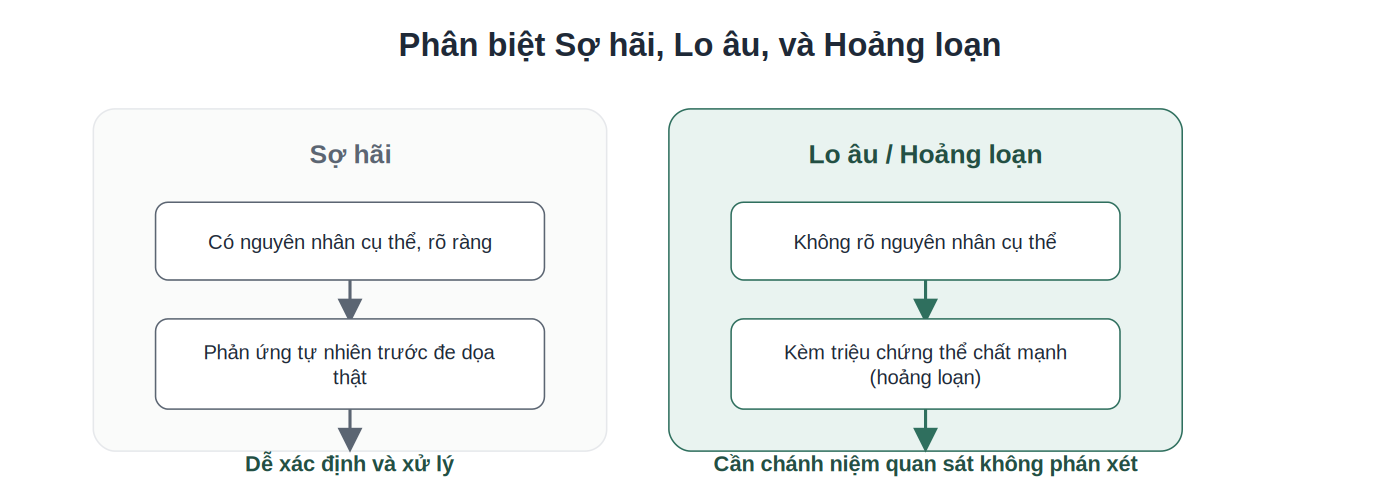 So sánh sợ hãi, lo âu và hoảng loạn