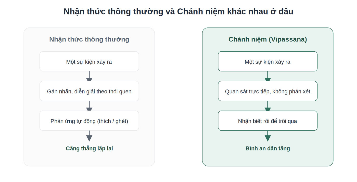 So sánh nhận thức thông thường và chánh niệm