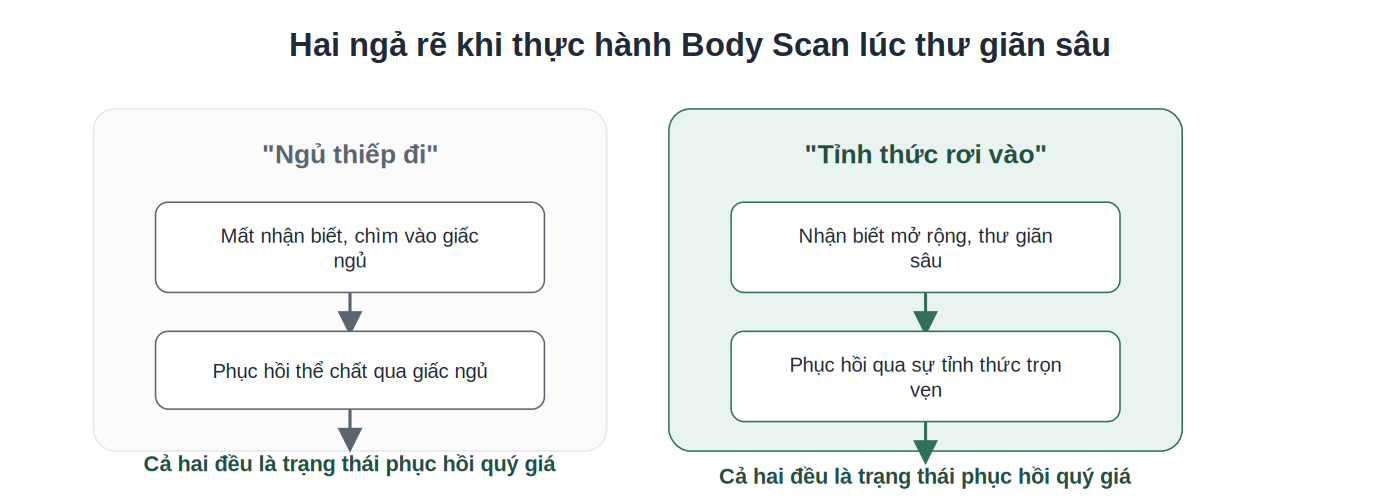 Hai ngả rẽ khi thực hành Body Scan: ngủ thiếp đi hoặc tỉnh thức sâu