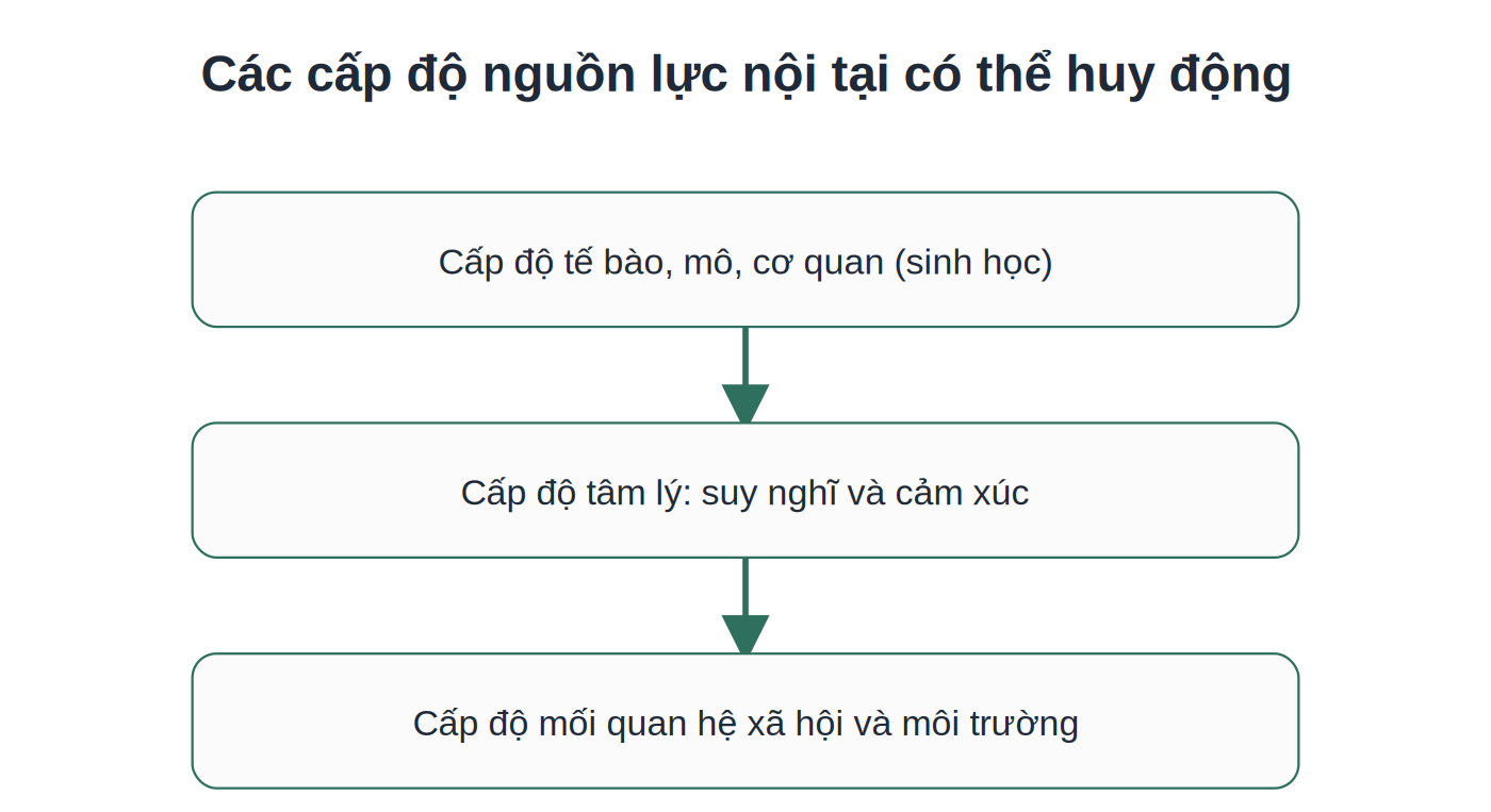 3 cấp độ nguồn lực nội tại theo mô hình y học tham gia