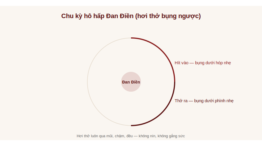 Chu kỳ hô hấp Đan Điền