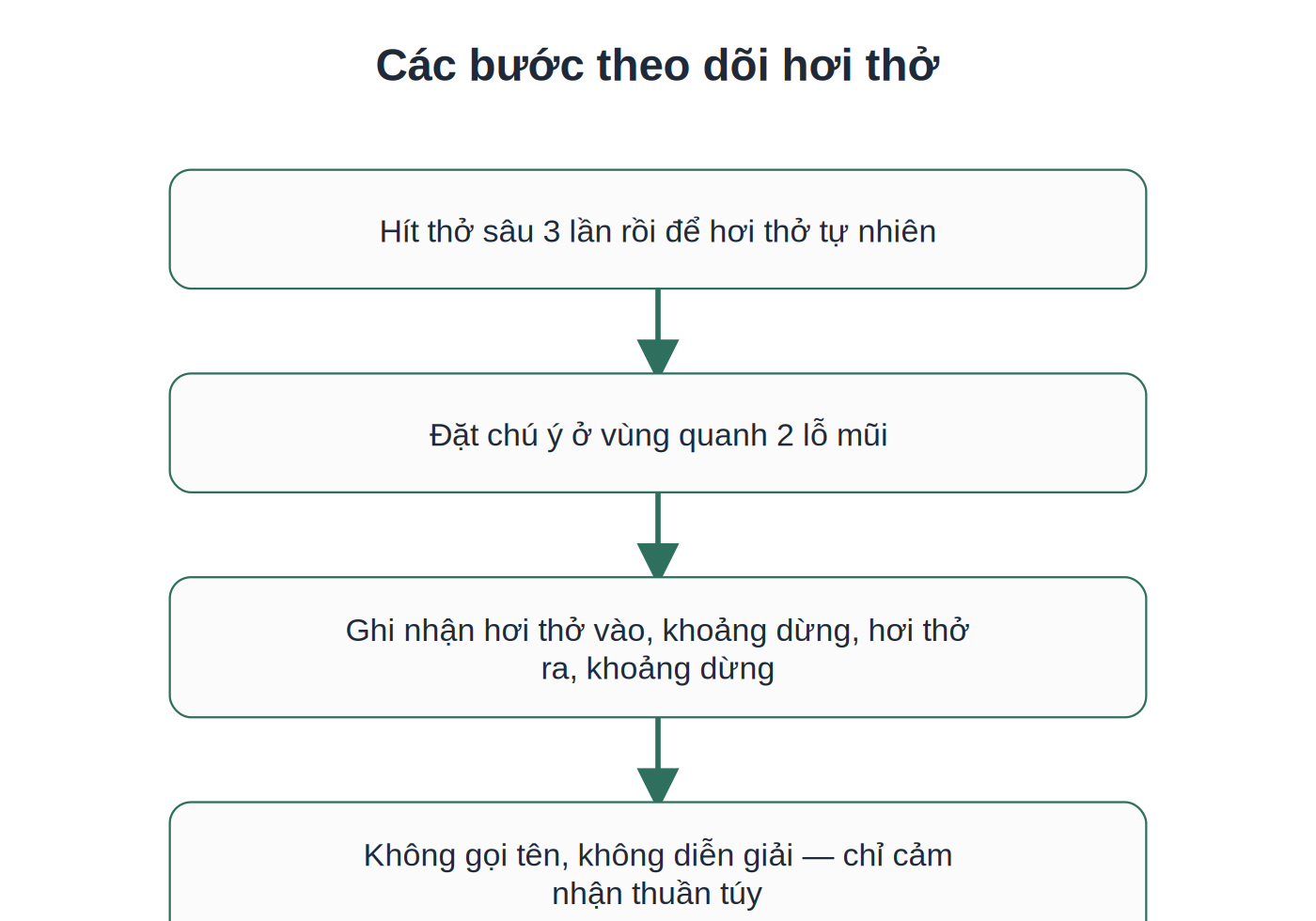 4 bước theo dõi hơi thở cơ bản
