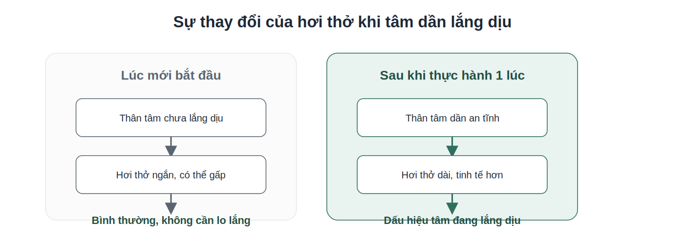 So sánh hơi thở lúc mới ngồi và sau khi tâm lắng dịu