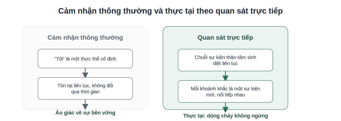 So sánh ảo giác về cái Tôi cố định và thực tại dòng chảy liên tục
