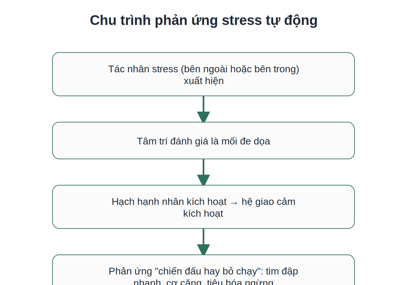 Chu trình phản ứng stress tự động chiến đấu hay bỏ chạy
