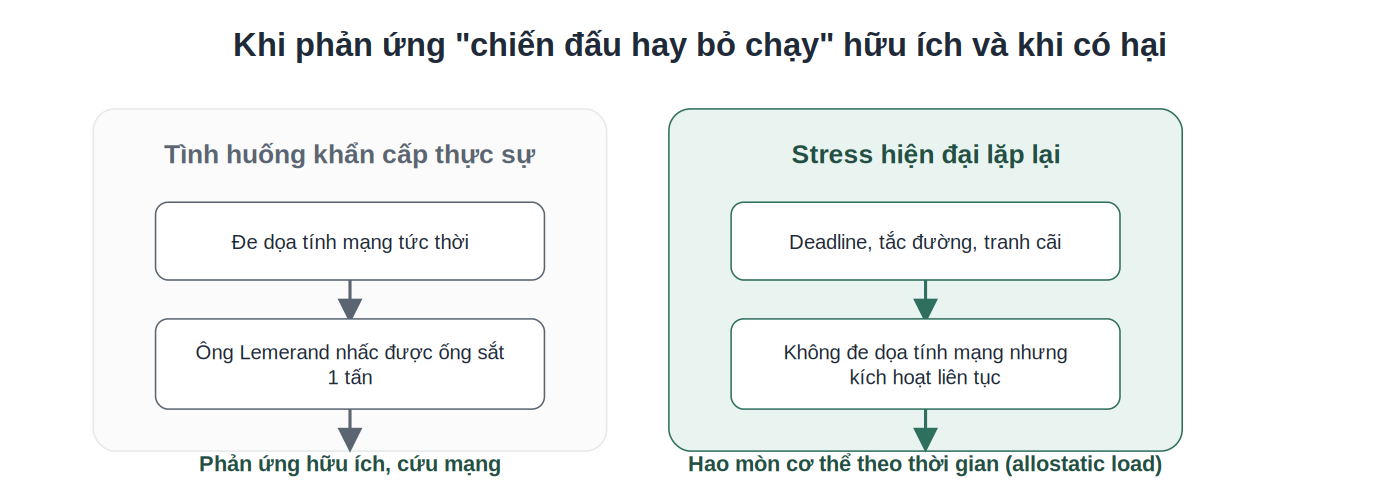 So sánh phản ứng chiến đấu hay bỏ chạy hữu ích và có hại