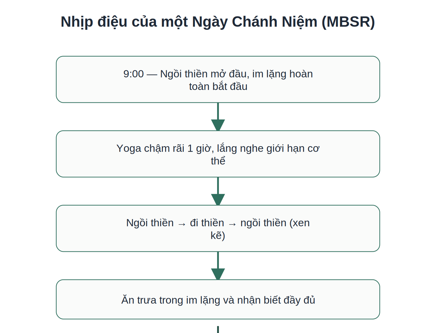 Nhịp điệu các hoạt động trong một Ngày Chánh Niệm MBSR