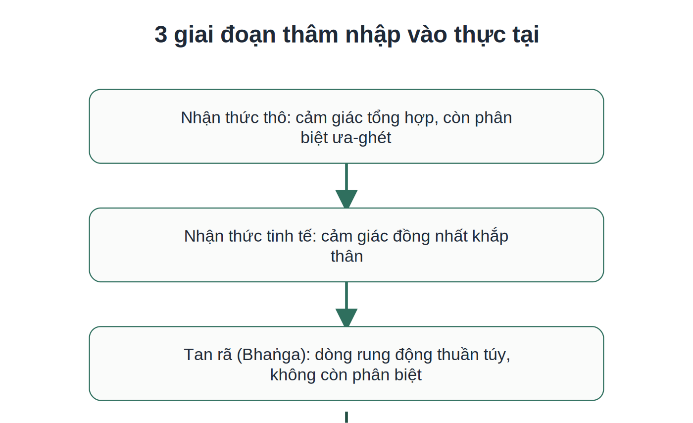 3 giai đoạn thâm nhập vào thực tại theo Vipassana