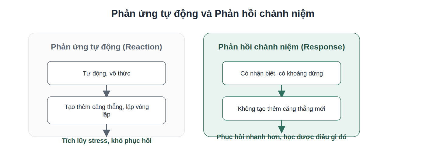 So sánh phản ứng tự động và phản hồi chánh niệm với stress
