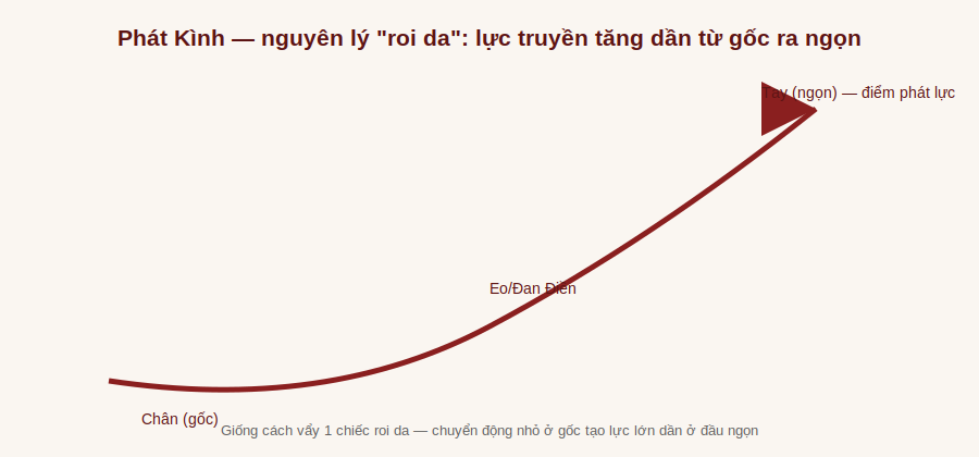 Nguyên lý roi da của Phát Kình