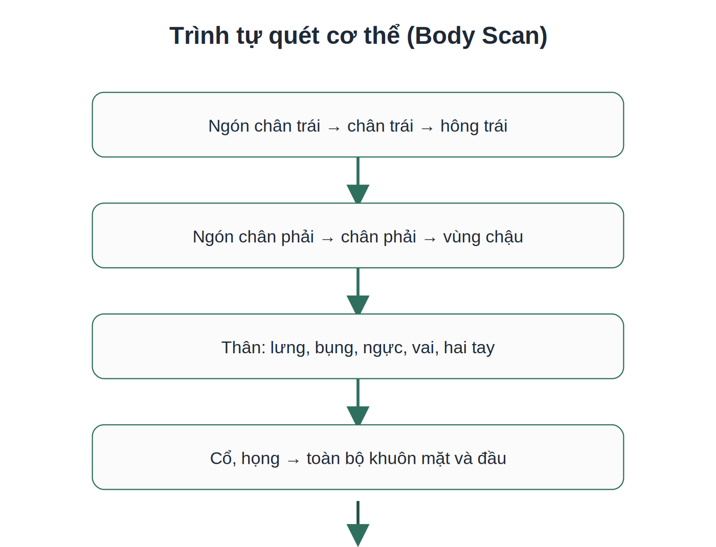 Trình tự quét cơ thể từ chân đến đầu trong Body Scan