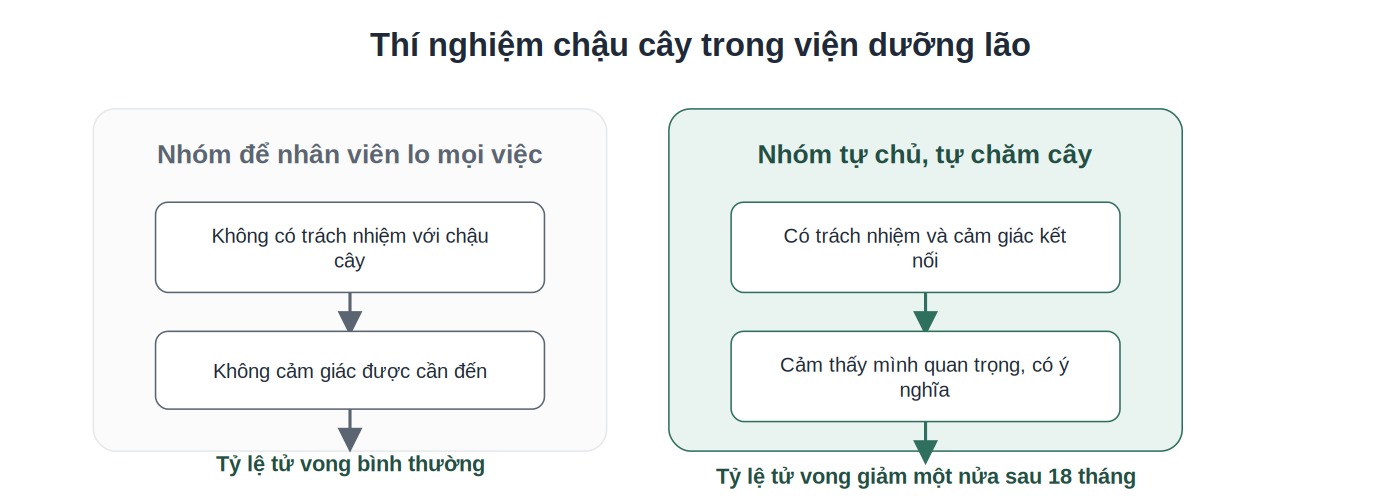 Kết quả thí nghiệm chậu cây trong viện dưỡng lão về sự kết nối và sức khỏe