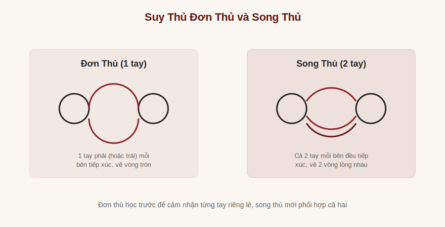 Suy Thủ Đơn Thủ và Song Thủ