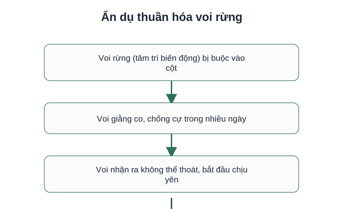 Ẩn dụ thuần hóa voi rừng cho quá trình rèn tâm qua thiền