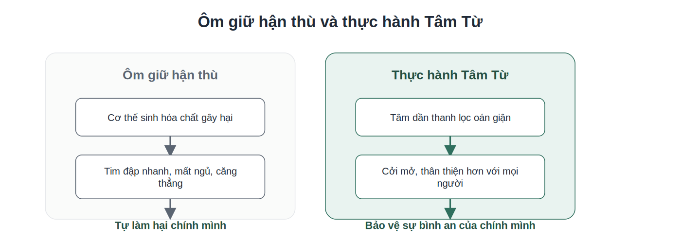 So sánh tác hại của hận thù và lợi ích của thiền Tâm Từ