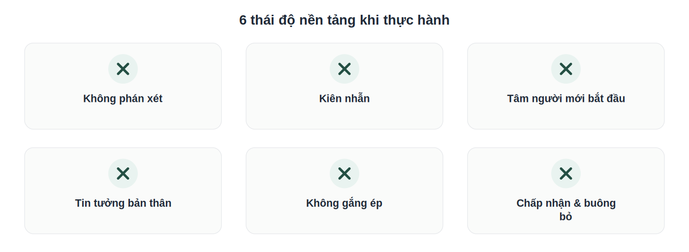 Lưới 6 thái độ nền tảng khi thực hành thiền