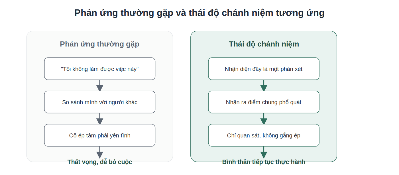 So sánh phản ứng thường gặp và thái độ chánh niệm