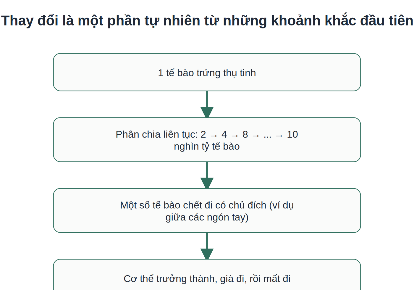 Quá trình thay đổi liên tục của cơ thể từ 1 tế bào đến khi mất đi