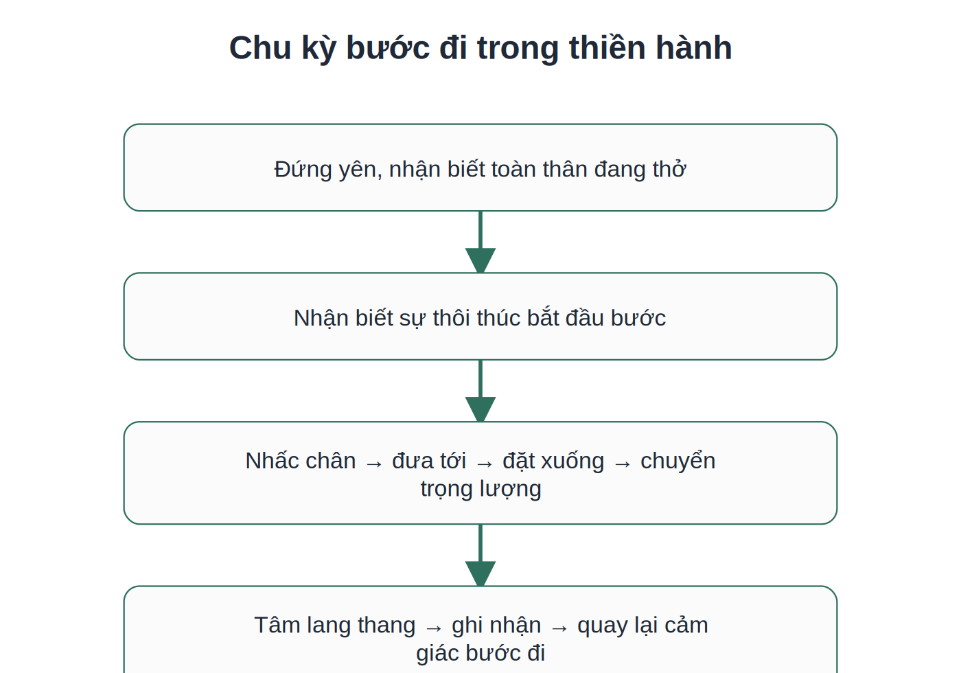 Chu kỳ bước đi trong thực hành thiền hành cơ bản