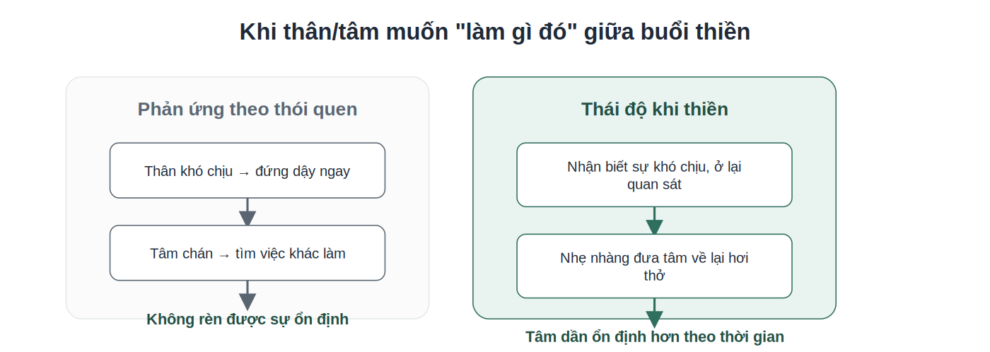 So sánh phản ứng thói quen và thái độ khi thiền ngồi
