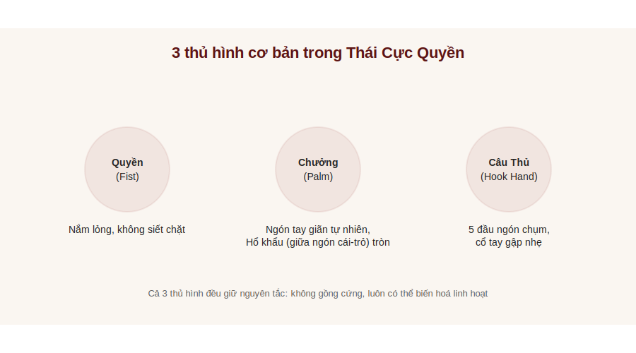3 thủ hình cơ bản: Quyền, Chưởng, Câu Thủ