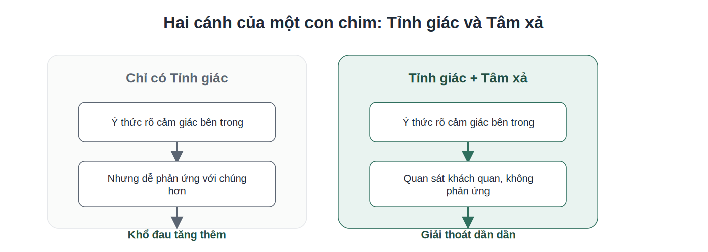 So sánh chỉ có tỉnh giác và khi kết hợp tỉnh giác với tâm xả