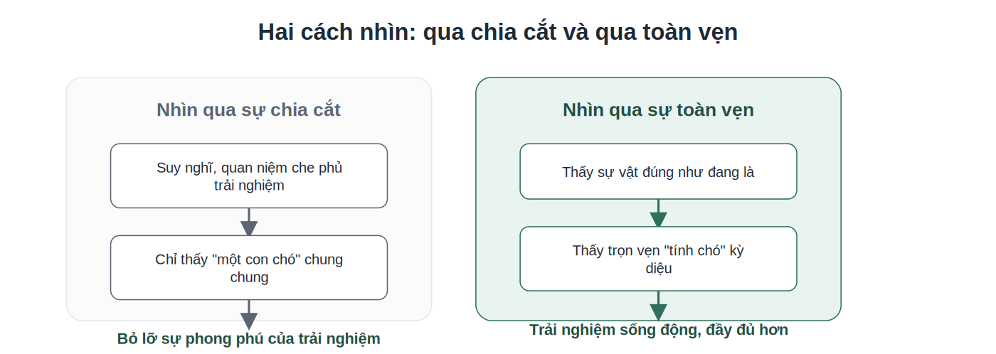 So sánh 2 cách nhìn thế giới qua chia cắt và toàn vẹn