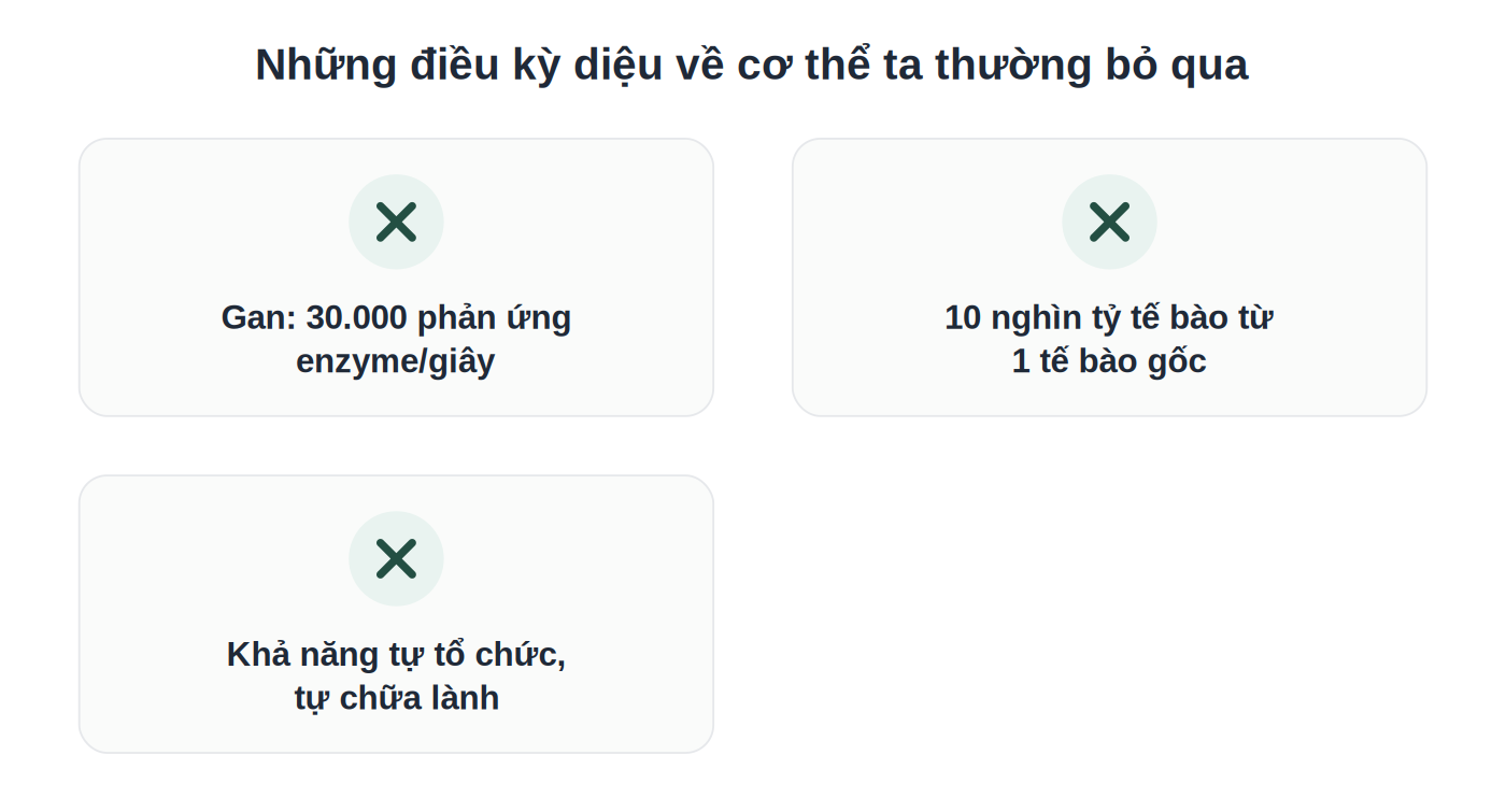 3 điều kỳ diệu về cơ thể con người thường bị bỏ qua