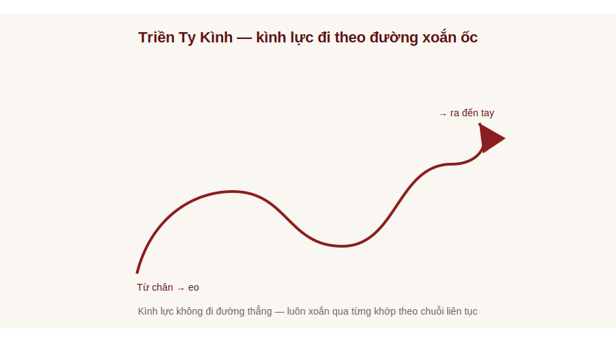 Sơ đồ đường đi kình lực Triền Ty Kình