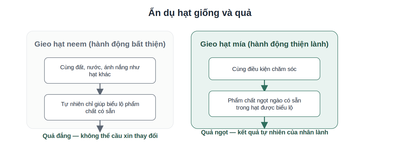 Ẩn dụ hạt giống và quả minh họa quy luật nhân quả (kamma)