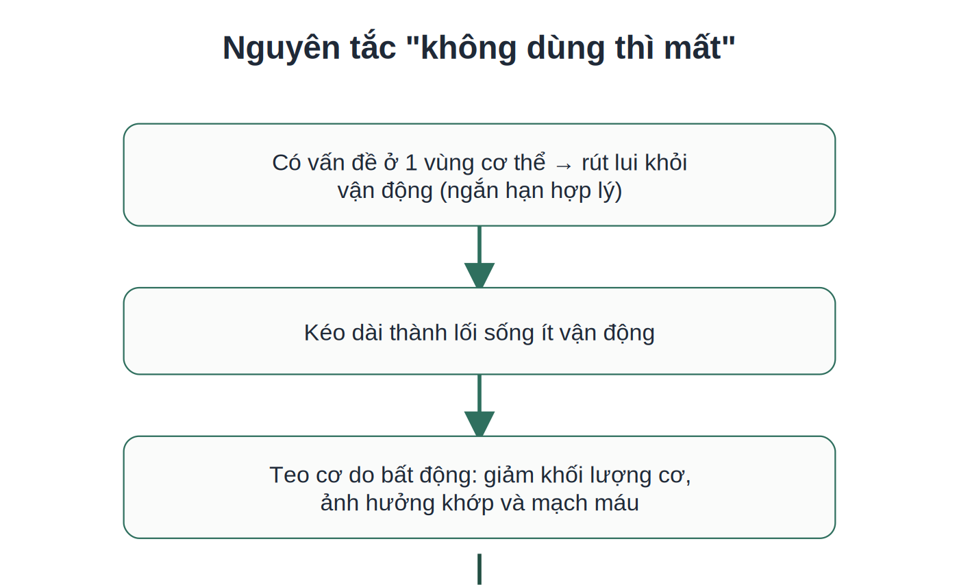 Quá trình teo cơ do bất động và vai trò của yoga